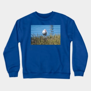 White Ibis At The Edge of Laguna Madre Crewneck Sweatshirt